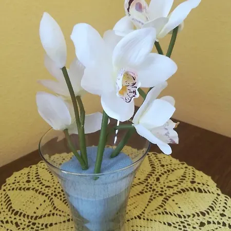 Haus Staubmann Naehe Red Bull Ring Spielberg Homestay Rattenberg (Styria)